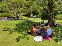 Eine der Lieblingsbeschäftigungen der Südafrikaner: gemütliches Picknick