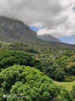Im Botanischen Garten von Kirstenbosch