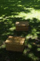 Picknick in Stellenbosh