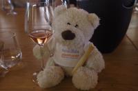 Weingut Blaauwklippen