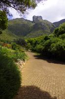 Kirstenbosch - Botanischer Garten