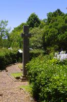 Kirstenbosch - Botanischer Garten