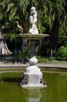 Kapstadt - The Company's Garden