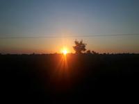 Krüger Nationalpark - Sonnenaufgang