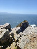 Am Kap der guten Hoffnung