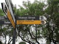 Die einzige Straße in der zeitgleich zwei Friedensnobelpreisträger wohnten.