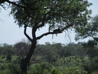 Der Mittagshitze entkommen...