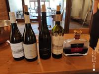 Weinverkostung auf Blaauwklippen