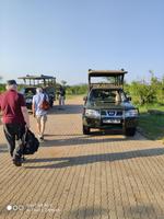 Jeeps für die Safari Tour
