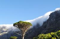 Südafrika - Kapstadt - Tafelberg mit Tischtuch