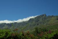 Südafrika - Kapstadt - Blick zum Tafelberg