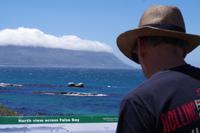 Südafrika - False Bay