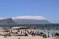 Südafrika - Simon`s Town