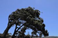 Südafrika - unterwegs