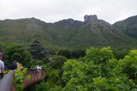Südafrika - Kapstadt - Botanischer Garten Kirstenbosch