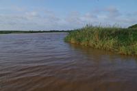 Südafrika - St. Lucia - Bootstour