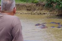 Südafrika - St. Lucia - Bootstour