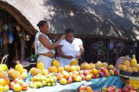 Südafrika - St. Lucia