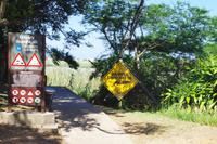 Südafrika - St. Lucia