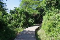 Südafrika - St. Lucia