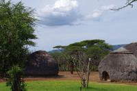 eSwatini - Bienenkörbe