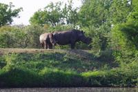 eSwatini - Mkhaya Wildreservat 