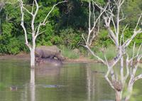 eSwatini - Mkhaya Wildreservat 