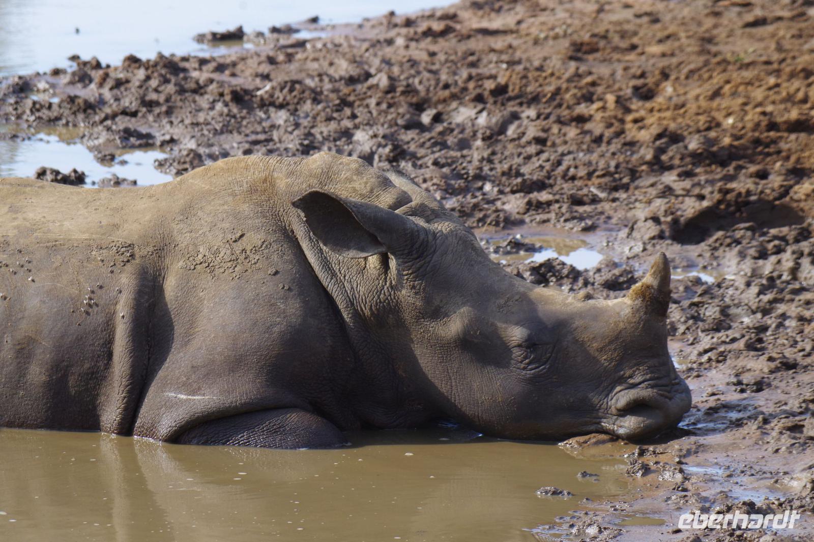 eSwatini - Mkhaya Wildreservat 