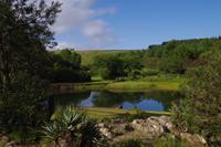 Südafrika - Misty Mountain Lodge