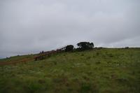 Südafrika - Misty Mountain - Sommerrodelbahn