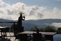 Südafrika - Misty Mountain 