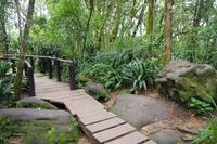 Südafrika - God`s Window