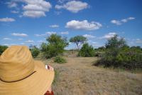 Südafrika - Timbavati Wildreservat