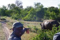 Südafrika - Timbavati Wildreservat