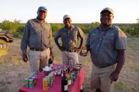 Südafrika - Timbavati Wildreservat