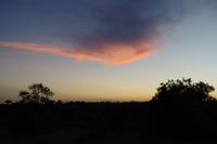 Südafrika - Timbavati Wildreservat