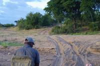 Südafrika - Timbavati Wildreservat