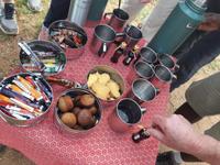 Südafrika - Timbavati Wildreservat