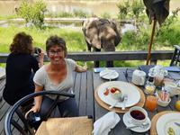 Südafrika - Simbavati River Lodge