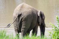 Südafrika - Simbavati River Lodge