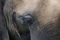 Südafrika - Simbavati River Lodge