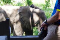 Südafrika - Simbavati River Lodge