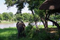 Südafrika - Simbavati River Lodge