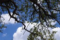 Südafrika - Simbavati River Lodge