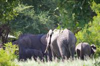 Südafrika - Simbavati River Lodge