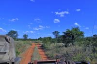 Südafrika - Timbavati Wildreservat