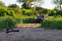 Südafrika - Timbavati Wildreservat