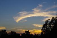 Südafrika - Timbavati Wildreservat