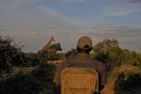 Südafrika - Timbavati Wildreservat