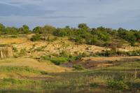 Südafrika - Timbavati Wildreservat